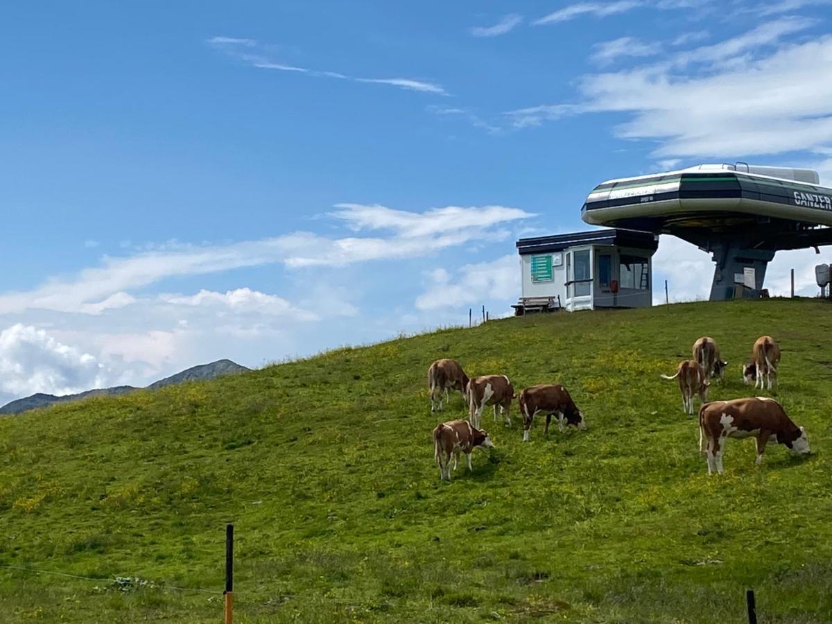 Appartement Penthaus Kitzebueheler Alpen à Neukirchen am Großvenediger Extérieur photo