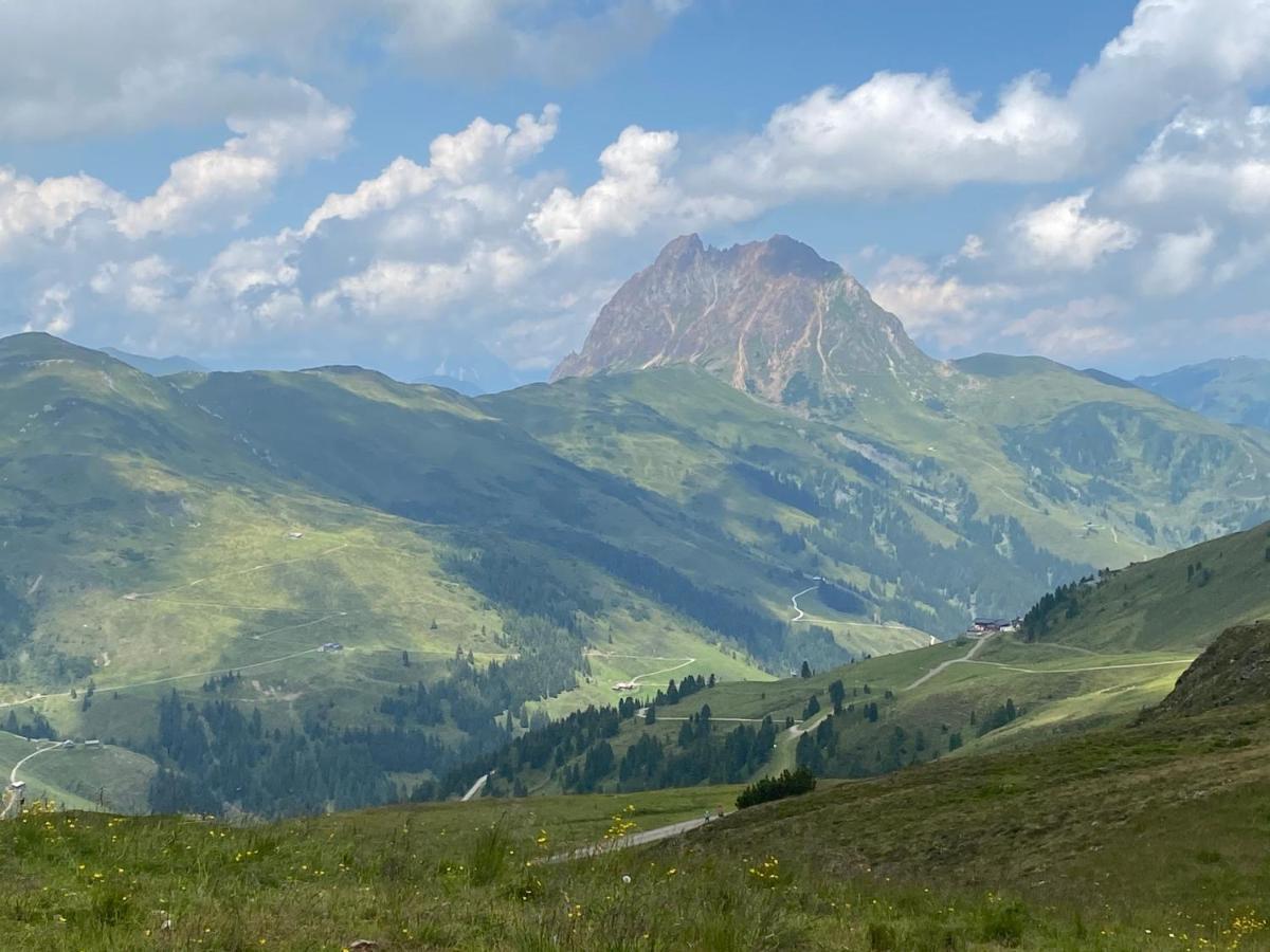 Appartement Penthaus Kitzebueheler Alpen à Neukirchen am Großvenediger Extérieur photo